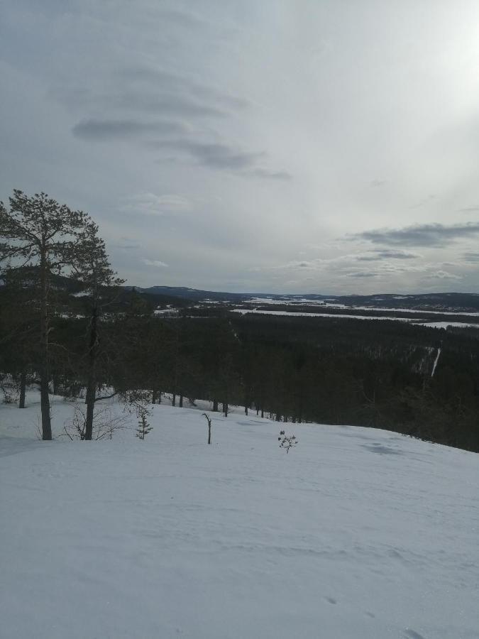 Kunkku * Kuivakangas