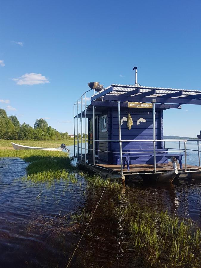 Kunkku * Kuivakangas