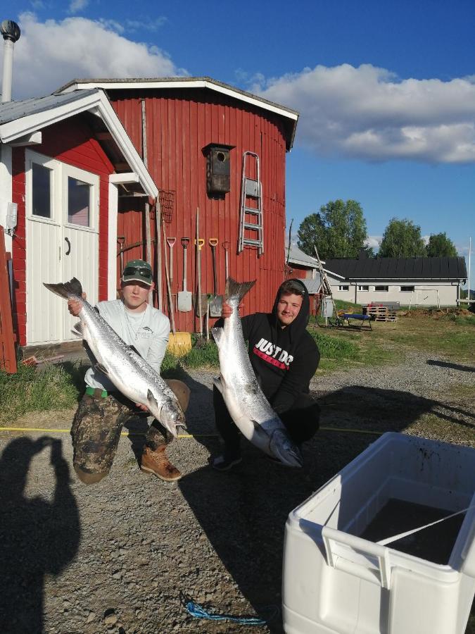 Alpehytte Kunkku Kuivakangas